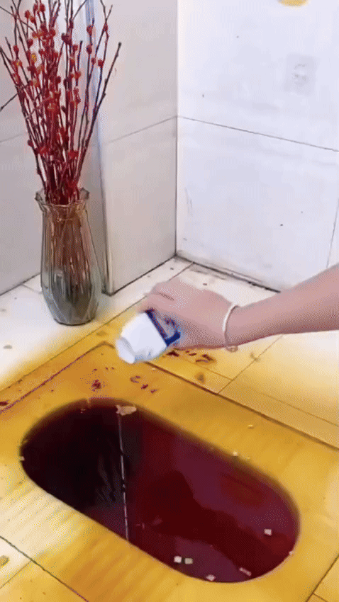 Encabezado